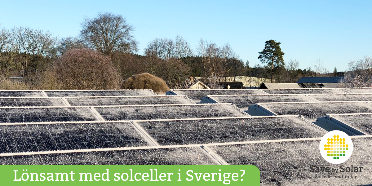 Lönsamt med frostiga solceller i Sverige